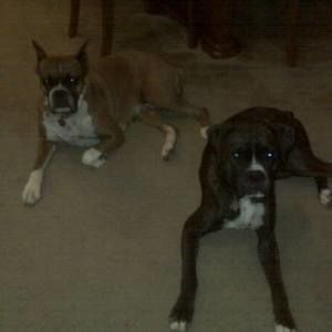 Meet your Posher, Chris